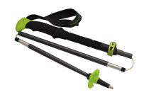 Pinguin | Compact FL Foam