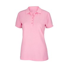 Northfinder | Piquew