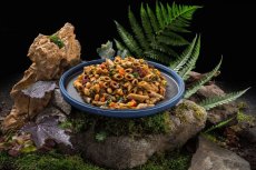 Adventure Menu | SENS Cvrčie Penne so zeleninou