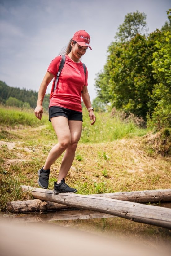 Black Hill | Women Merino T-Shirt KR S180 - Farba: Melónová, Veľkosť: M