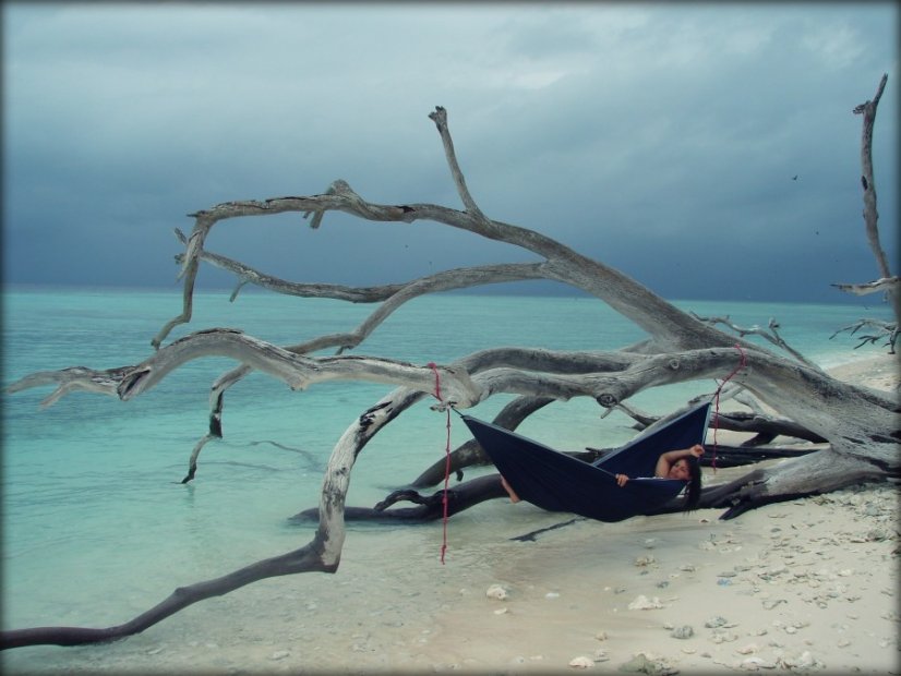 TTTM | Original Hammock - Farba: Brown / Dark Yellow