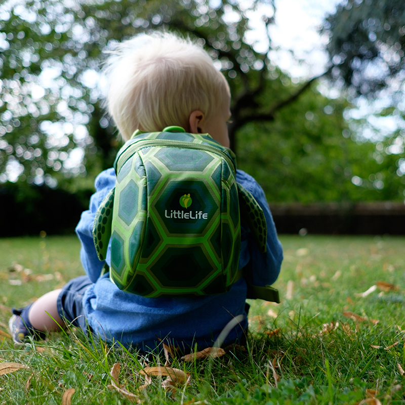 LittleLife | Animal Toddler Backpack - Farba: Turtle, Veľkosť: 2 L