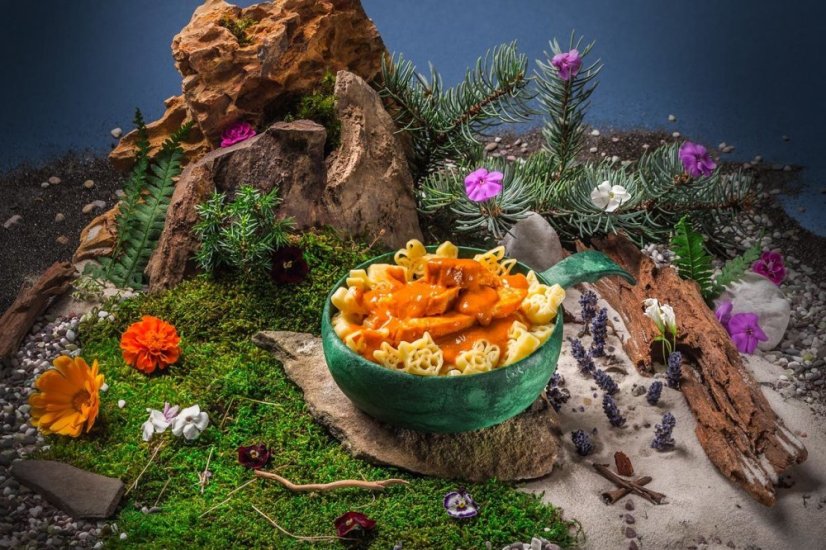 Adventure Menu | Kura na Paprike Kids